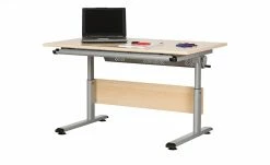 PAIDI Schülerschreibtisch Marco 2 | Ahorn (Nachbildung)