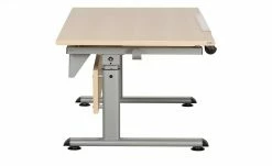 PAIDI Schülerschreibtisch Marco 2 | Ahorn (Nachbildung) -Kindermöbel Verkaufsladen 10352952 5 201811271453