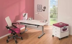 PAIDI Schülerschreibtisch Marco 2 | Kreideweiß