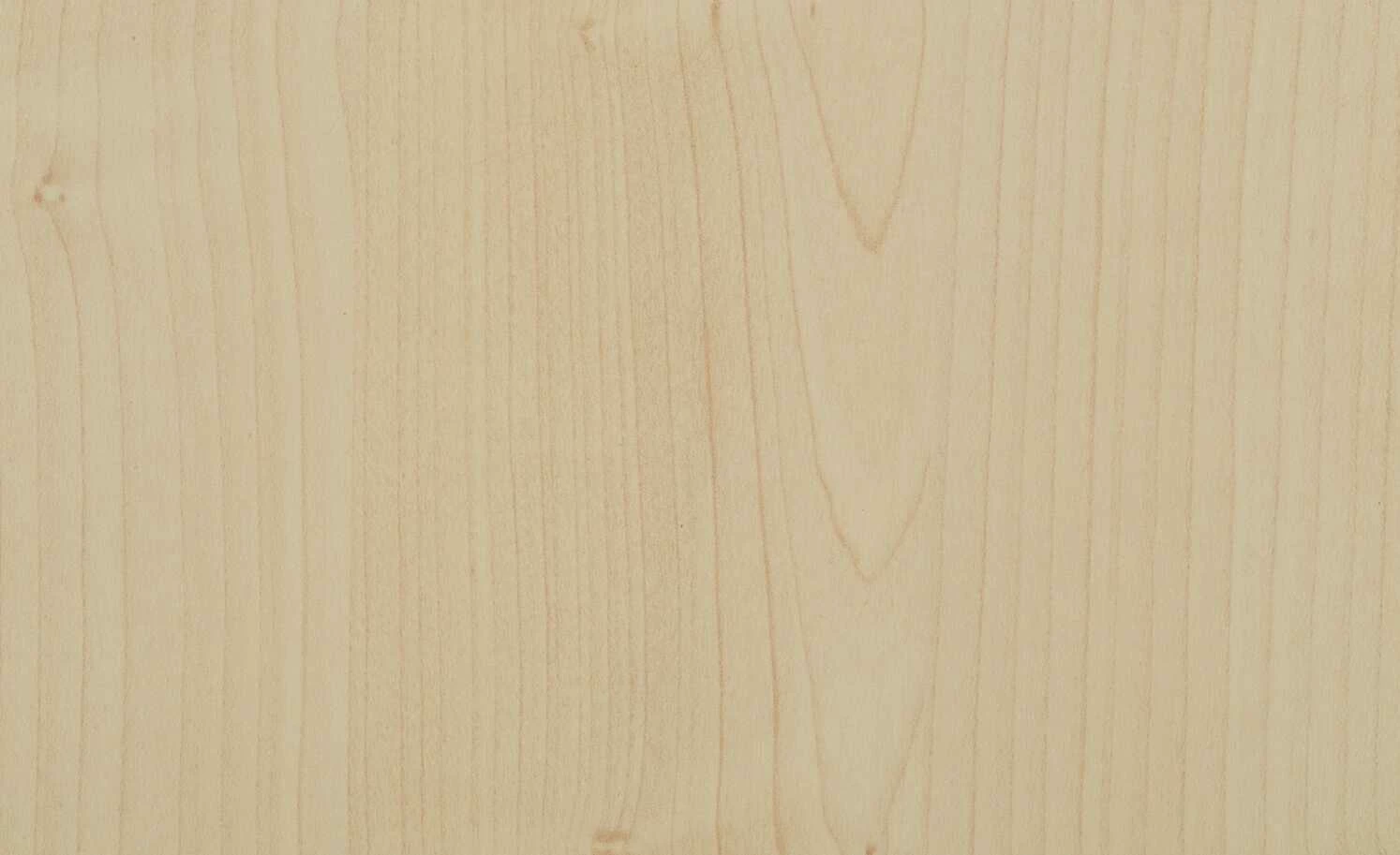 PAIDI Regal Fleximo 9 PAIDI Regal Fleximo – Bild 7