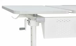 PAIDI Schülerschreibtisch Diego GT | Weiß -Kindermöbel Verkaufsladen 11350509 5 201901242210