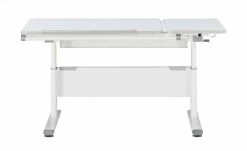 PAIDI Schülerschreibtisch Diego GT | Weiß -Kindermöbel Verkaufsladen 11350509 8 201901242210