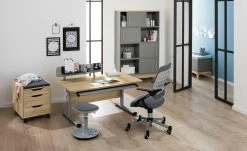 PAIDI Schülerschreibtisch Diego | Eiche Nebraska (Nachbildung) / silberfarbig