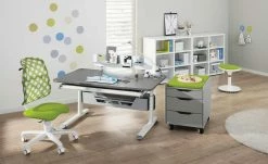 PAIDI Schülerschreibtisch Diego | Schiefergrau / Weiß