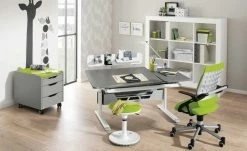 PAIDI Schülerschreibtisch Diego GT | Schiefergrau / silberfarbig