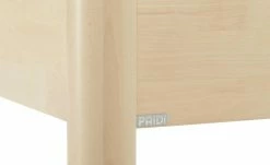 PAIDI Bettgestell Fleximo -Kindermöbel Verkaufsladen 119716 5 202104212234