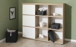 PAIDI Standregal Fionn | 109,7|cm