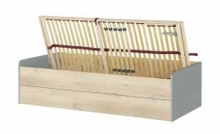 Stauraumbett Grow Up | Grau / Risseiche (Nachbildung) 90 cm -Kindermöbel Verkaufsladen 12114689 4 202003022232