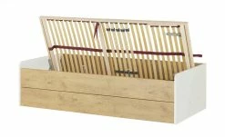 Stauraumbett Grow Up | Sandgrau / Wildeiche (Nachbildung) 90 cm -Kindermöbel Verkaufsladen 12114693 13 202108231242