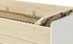 Stauraumbett Grow Up | Sandgrau / Livorno Buche (Nachbildung) 90 cm -Kindermöbel Verkaufsladen 12114694 17 202108231240