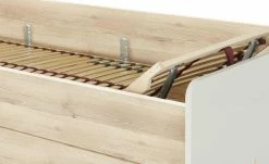 Stauraumbett Grow Up | Sandgrau / Risseiche (Nachbildung) 90 cm -Kindermöbel Verkaufsladen 12114695 16 202003022232