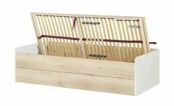 Stauraumbett Grow Up | Sandgrau / Risseiche (Nachbildung) 90 cm -Kindermöbel Verkaufsladen 12114695 2 202003022232