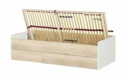 Stauraumbett Grow Up | Sandgrau / Risseiche (Nachbildung) 90 cm -Kindermöbel Verkaufsladen 12114695 4 202003022232