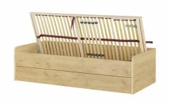 Stauraumbett Grow Up | Wildeiche (Nachbildung) 90 cm -Kindermöbel Verkaufsladen 12114700 13 202108231242