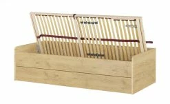 Stauraumbett Grow Up | Wildeiche (Nachbildung) 90 cm -Kindermöbel Verkaufsladen 12114700 15 202108231242