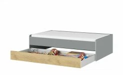 Duobett Grow Up | Grau / Wildeiche (Nachbildung) 90 cm -Kindermöbel Verkaufsladen 12115024 9 202108231241