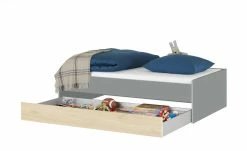 Duobett Grow Up | Grau / Livorno Buche (Nachbildung) 90 cm -Kindermöbel Verkaufsladen 12115025 6 202108231241