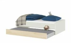 Duobett Grow Up | Sandgrau / Livorno Buche (Nachbildung) 90 cm -Kindermöbel Verkaufsladen 12115032 5 202108231241