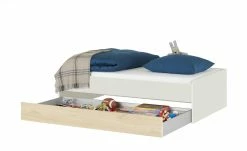 Duobett Grow Up | Sandgrau / Livorno Buche (Nachbildung) 90 cm -Kindermöbel Verkaufsladen 12115032 6 202108231241