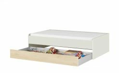 Duobett Grow Up | Sandgrau / Livorno Buche (Nachbildung) 90 cm -Kindermöbel Verkaufsladen 12115032 7 202108231241