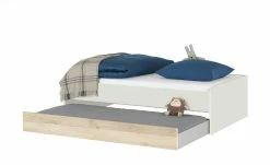 Duobett Grow Up | Sandgrau / Risseiche (Nachbildung) 90 cm -Kindermöbel Verkaufsladen 12115033 1 202007080955