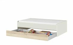 Duobett Grow Up | Sandgrau / Risseiche (Nachbildung) 90 cm -Kindermöbel Verkaufsladen 12115033 3 202007080955