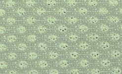 Alvi Kindermatratze STAR | 120|cm -Kindermöbel Verkaufsladen 12577996 4 201905090702