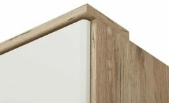 Kleiderschrank Caja | Eiche San Remo (Nachbildung) / Alpinweiß -Kindermöbel Verkaufsladen 342245401 5 201811271539